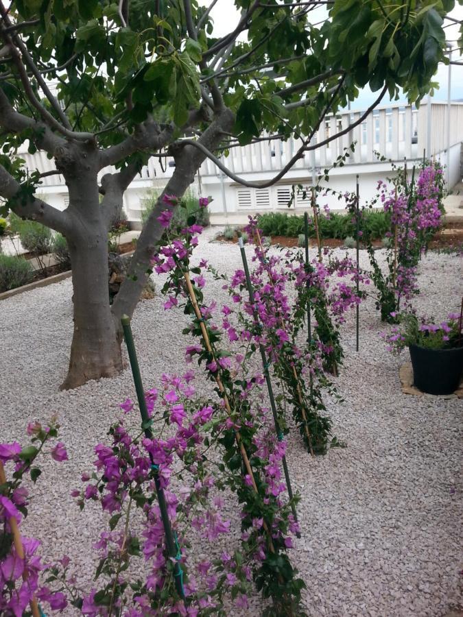 Guesthouse Lidija 库克利卡 外观 照片